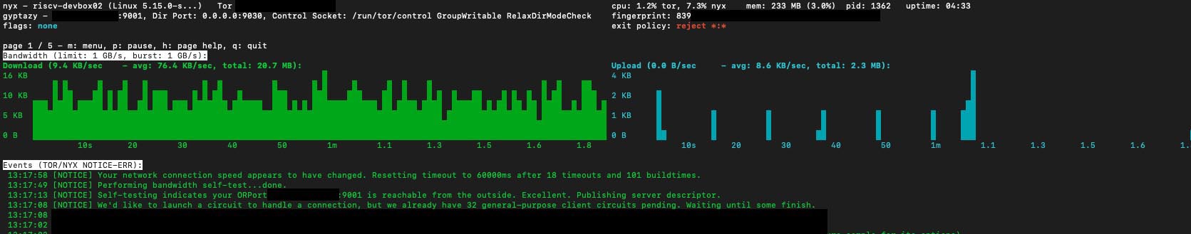 Running a RISC-V based Production TOR Relay Node for the Onion Network with the VisionFive2 Board